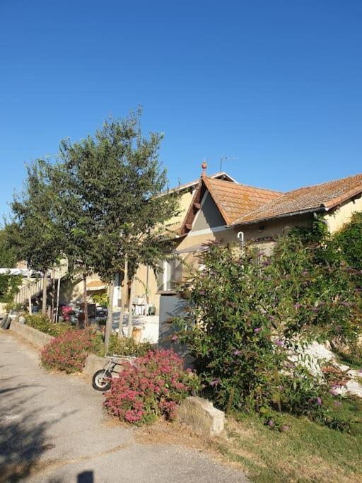 St Remy De Provence, La Maison Du Berger Saint-Andiol Luaran gambar