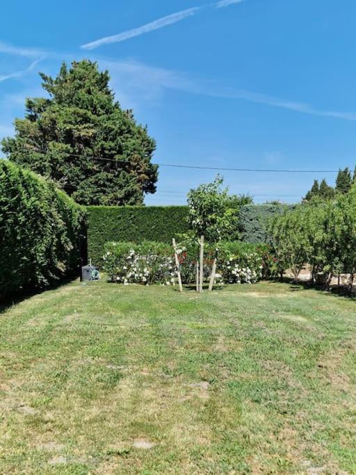 St Remy De Provence, La Maison Du Berger Saint-Andiol Luaran gambar